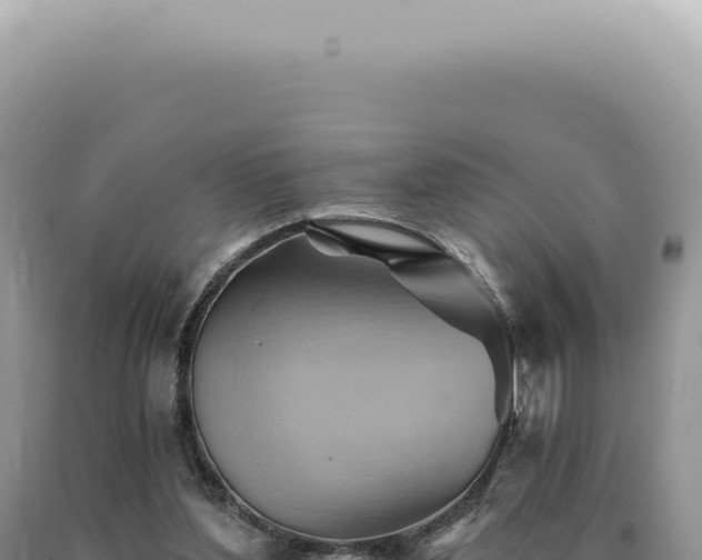 X0000090780204200707271556