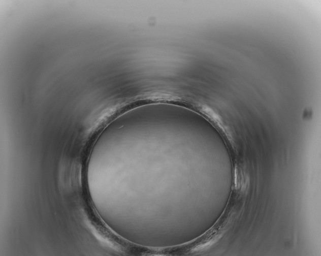 X0000090780205200707271556