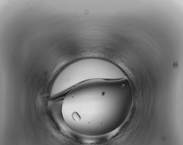 X0000090780207200707271556