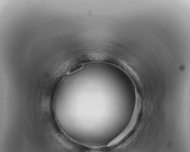 X0000090780209200707271556