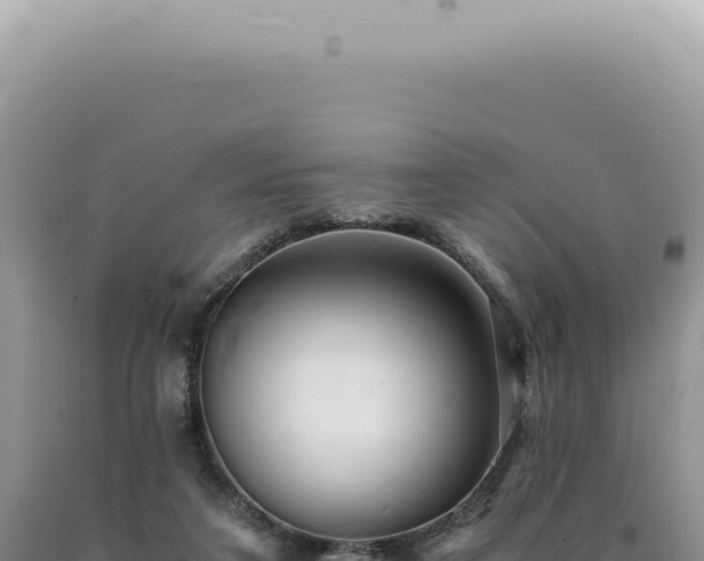 X0000090780211200707271556
