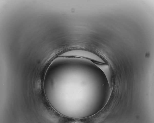 X0000090780212200707271556
