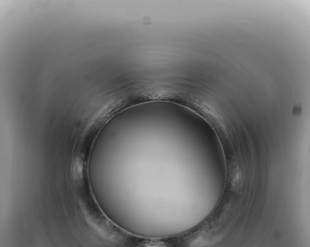 X0000090780214200707271556