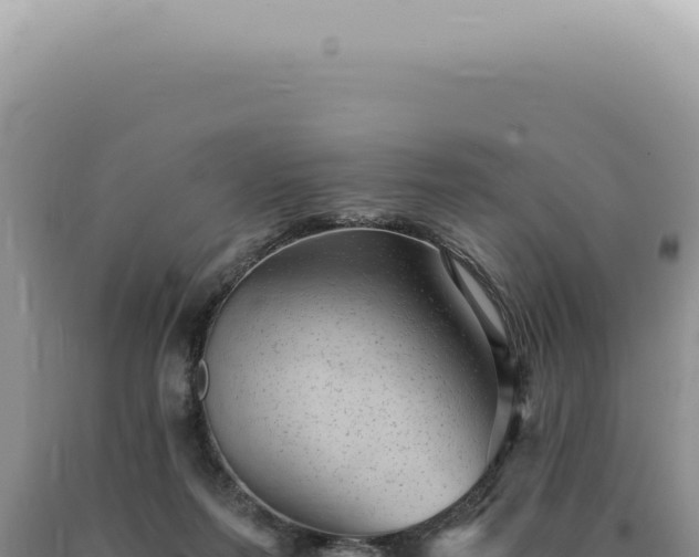 X0000090780215200707271556