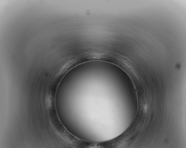 X0000090780216200707271556