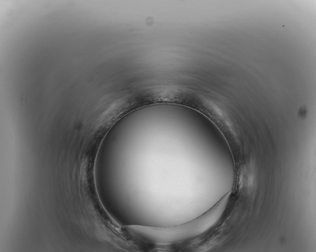 X0000090780217200707271556