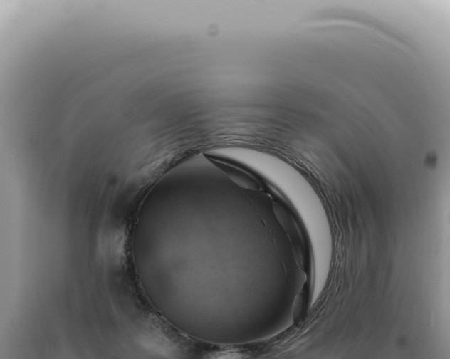 X0000090780219200707271556