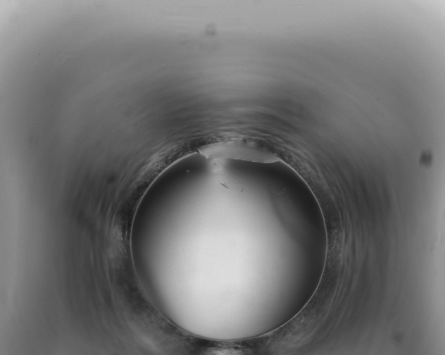 X0000090780220200707271556