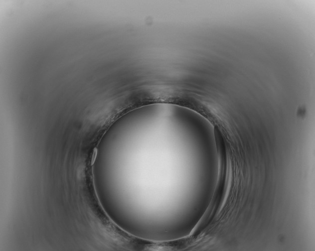 X0000090780221200707271556