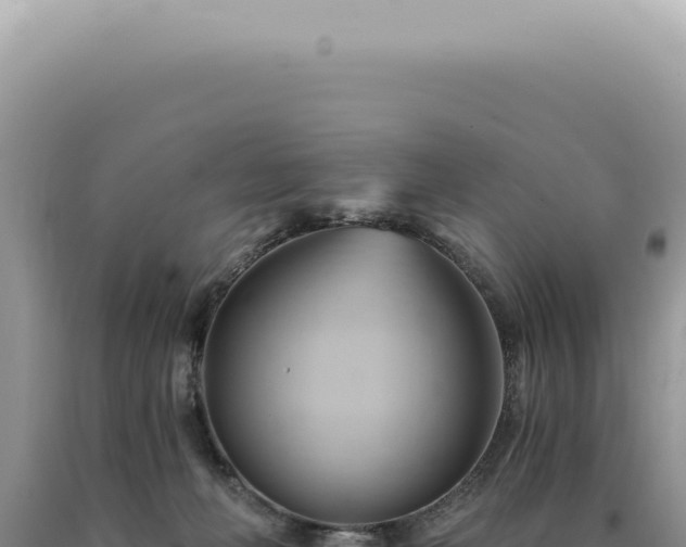 X0000090780222200707271556