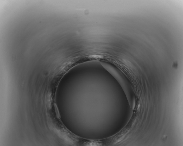 X0000090780223200707271556