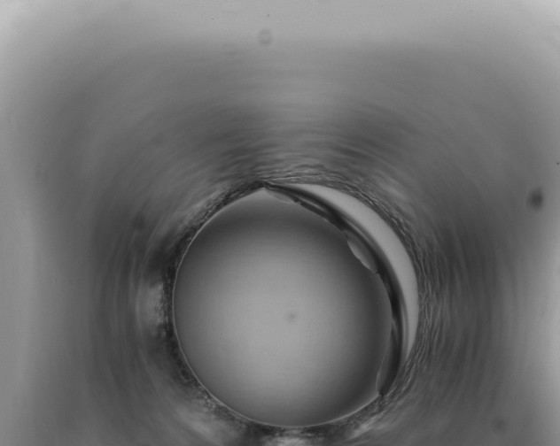 X0000090780224200707271556