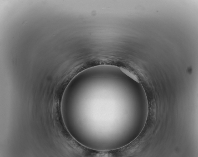 X0000090780225200707271556