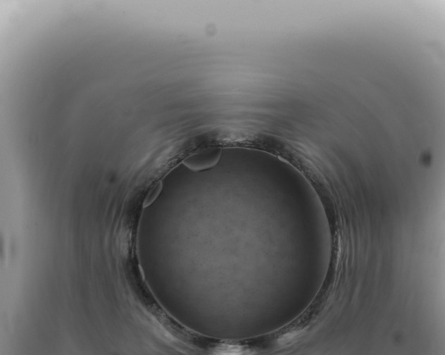 X0000090780227200707271556