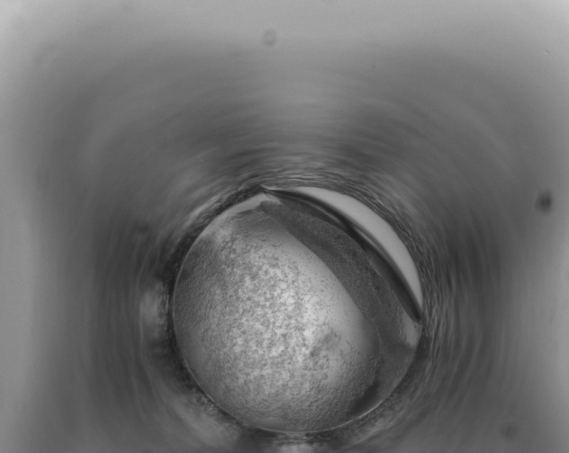 X0000090780228200707271556