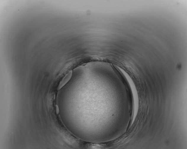 X0000090780229200707271556