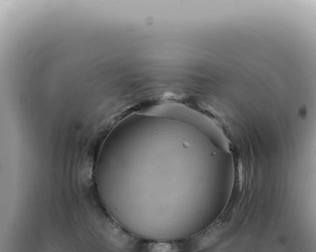 X0000090780230200707271556