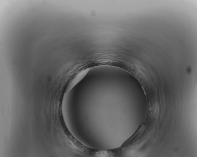 X0000090780231200707271556