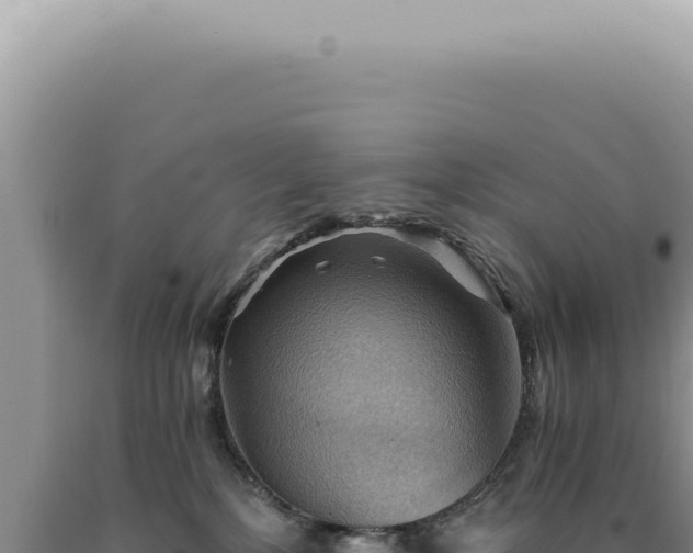 X0000090780232200707271556