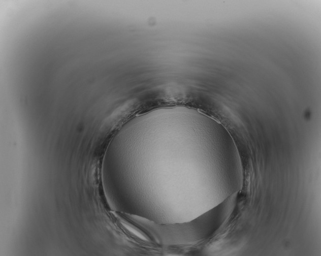 X0000090780233200707271556
