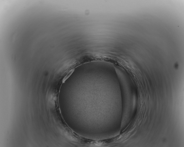 X0000090780235200707271556