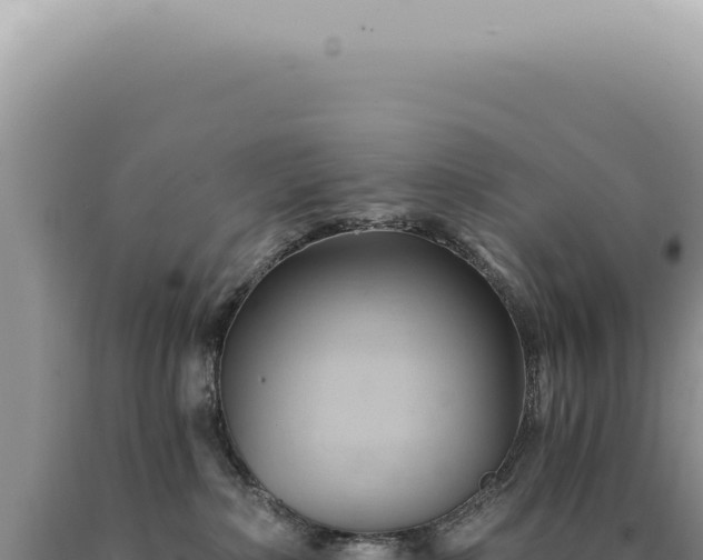 X0000090780236200707271556