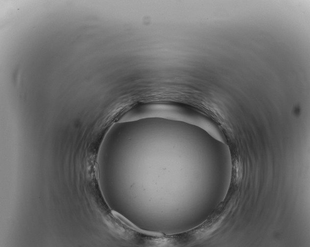 X0000090780237200707271556