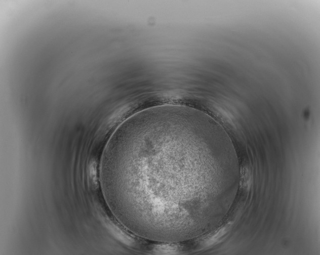 X0000090780238200707271556