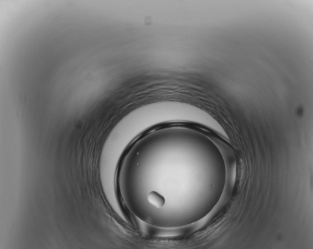 X0000090780239200707271556