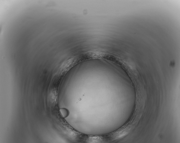 X0000090780240200707271556