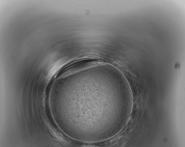 X0000090780242200707271555