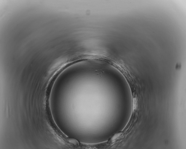 X0000090780243200707271555