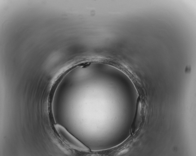 X0000090780244200707271555