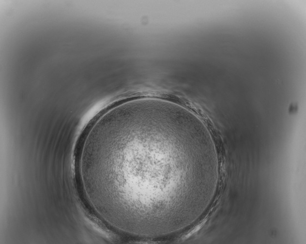 X0000090780246200707271555
