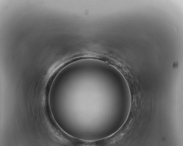 X0000090780247200707271555