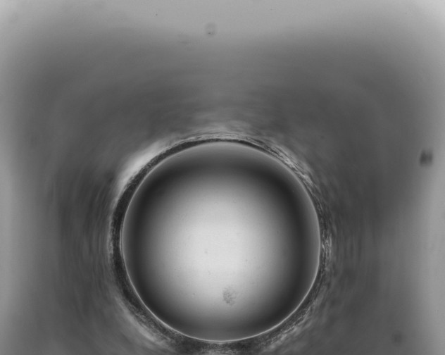 X0000090780248200707271555