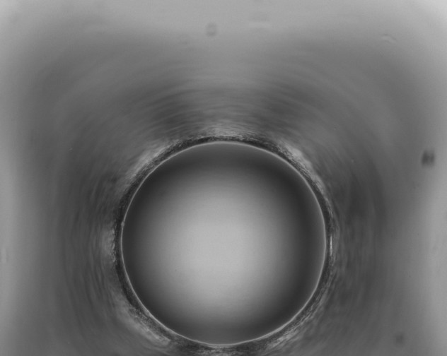 X0000090780249200707271555
