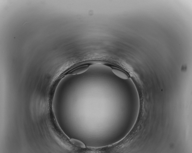 X0000090780250200707271555