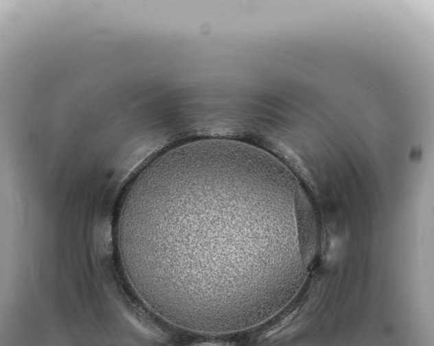 X0000090780251200707271555