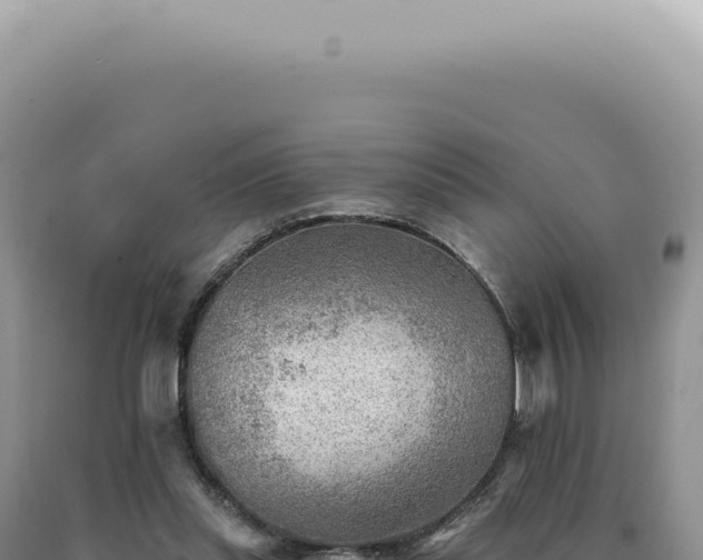 X0000090780253200707271555