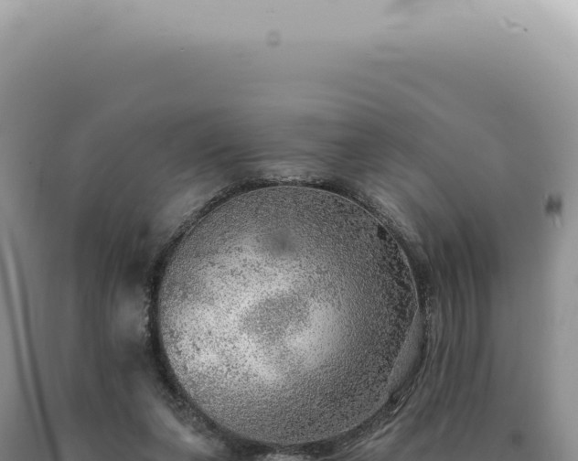 X0000090780255200707271555