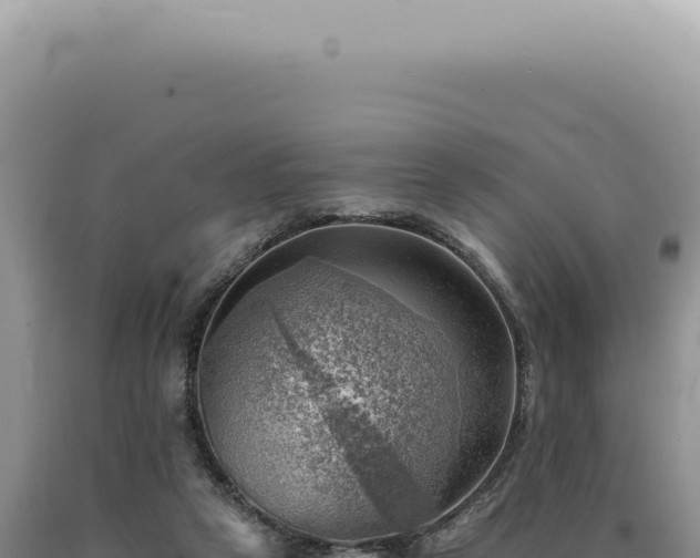 X0000090780257200707271555