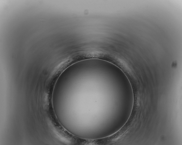 X0000090780258200707271555