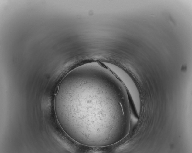 X0000090780260200707271555