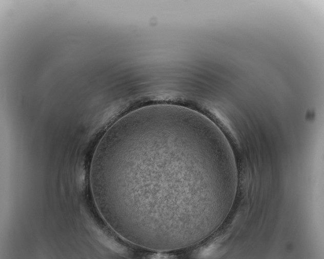 X0000090780261200707271555