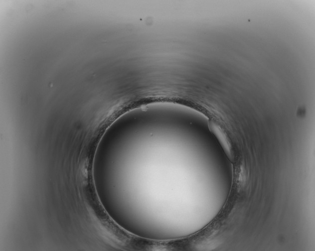 X0000090780264200707271555