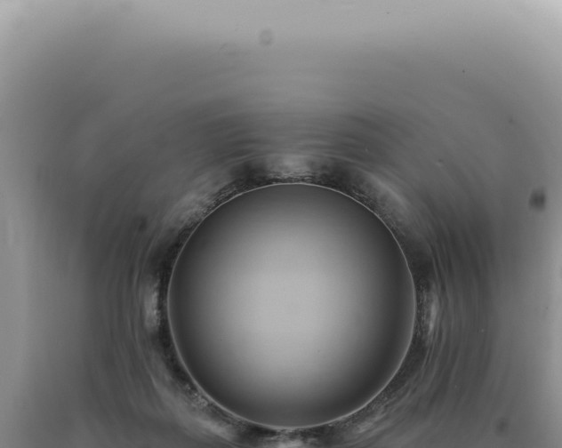 X0000090780267200707271555