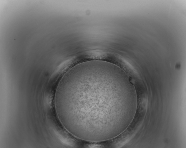 X0000090780268200707271555