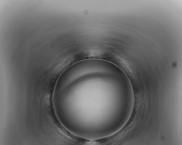 X0000090780269200707271555