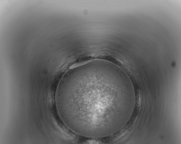 X0000090780272200707271555